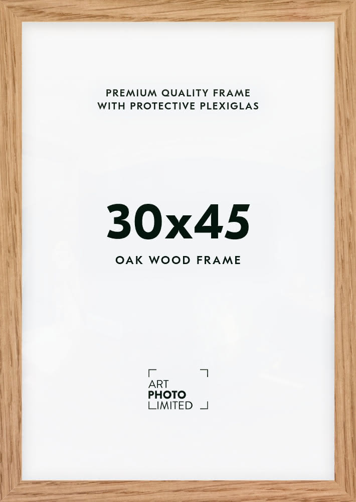 Picture Frame A3