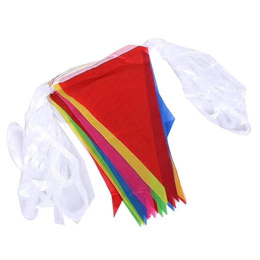 Multi Coloured Flag Triangle Rainbow
