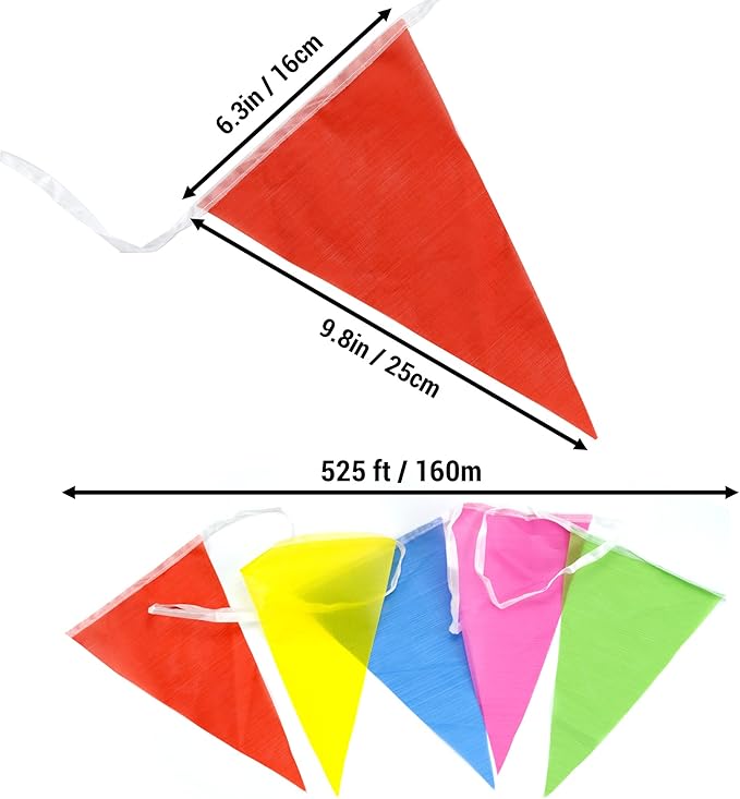 Multicolored Triangle Flags