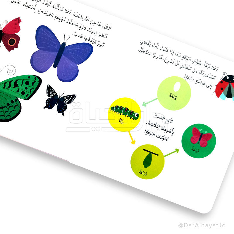 سلسلة كتابي الأول في التعرف على : الحدائق
