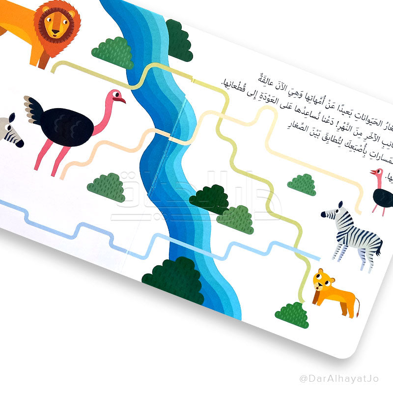 سلسلة كتابي الأول في التعرف على : الحيوانات البرية