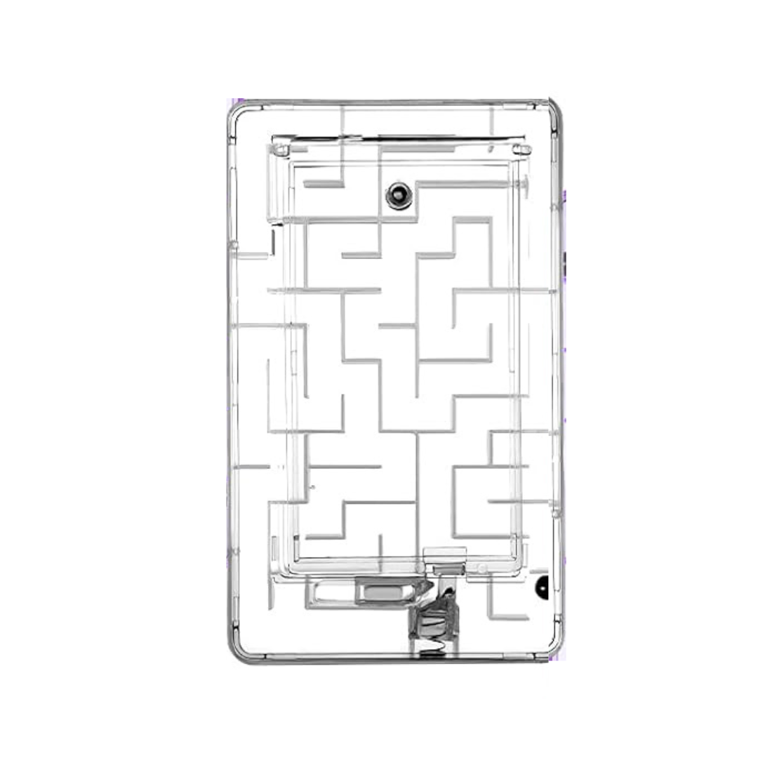 Money & Gift Card Maze Puzzle