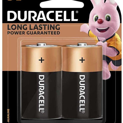 Durable Batteries D2 /1.5 V-set of 2