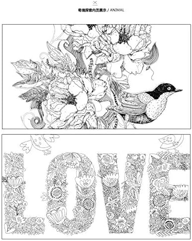 Wonderland Exploration Coloring Books