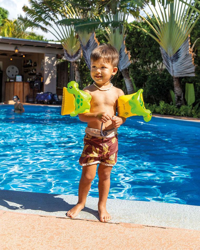Intex Dinosaur Arm Bands (3-6 Years)