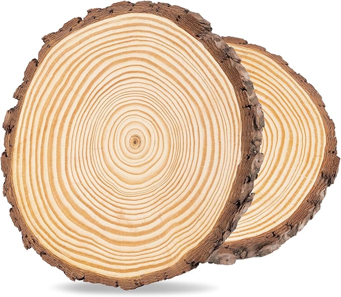 Natural Wood Slices 22cm
