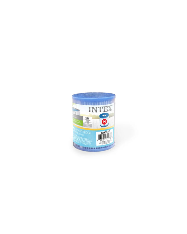 Intex Filter Cartridge Type H