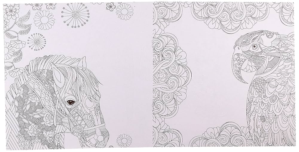 Achievers The enchanted forest coloring book