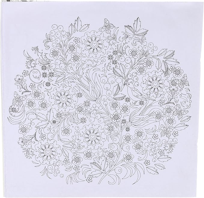 Mystery Garden coloring book