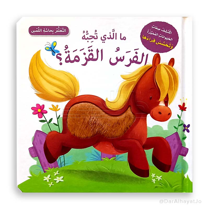 سلسلة التعلم بحاسة اللمس : ما الذي تحبه الفرس القزمة ؟