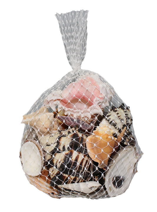 Mixed Beach Sea Shells For Decoration
