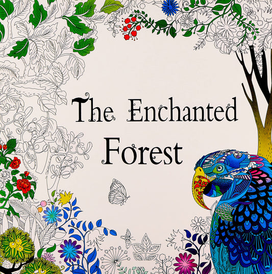 Achievers The enchanted forest coloring book