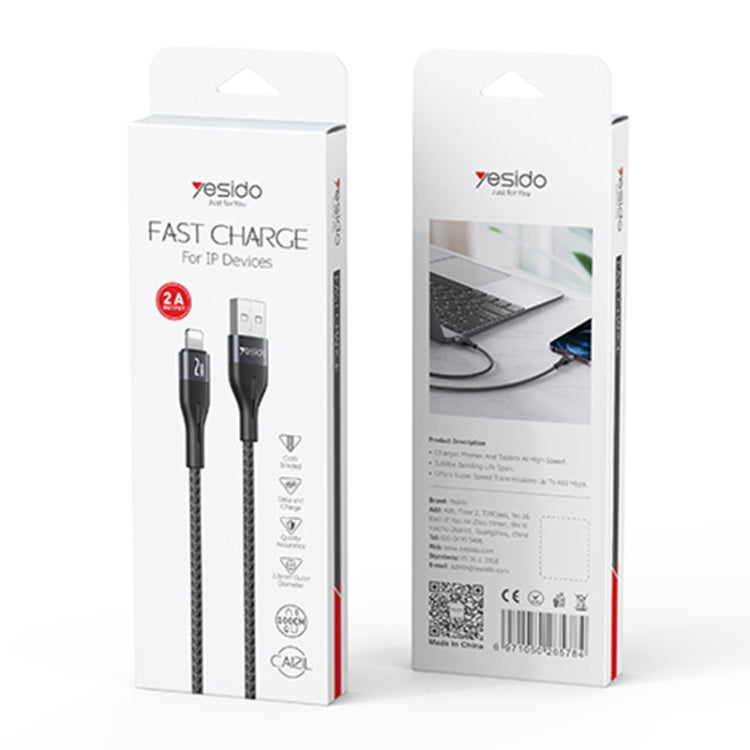 Yesido CA121L 2A USB