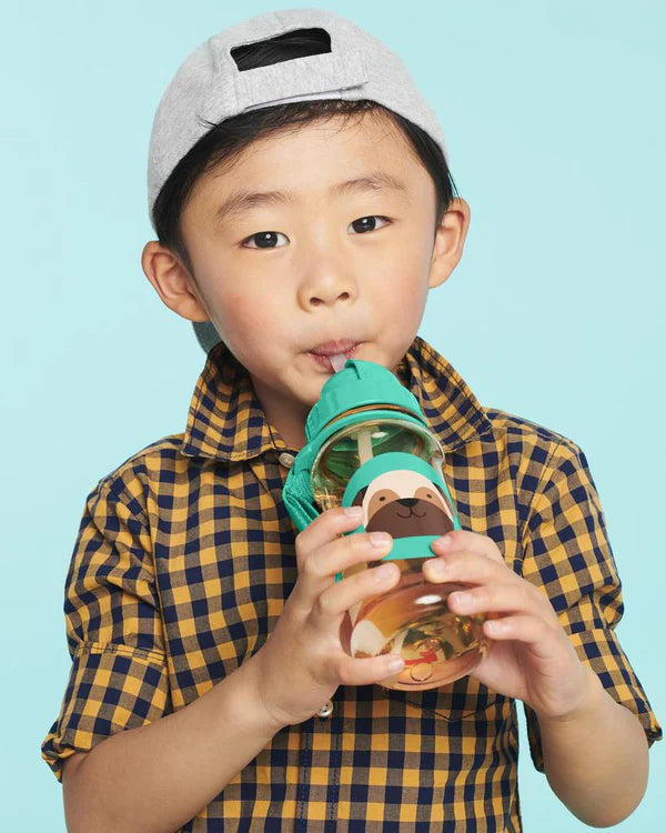 Skip Hop Zoo Straw Bottle pug