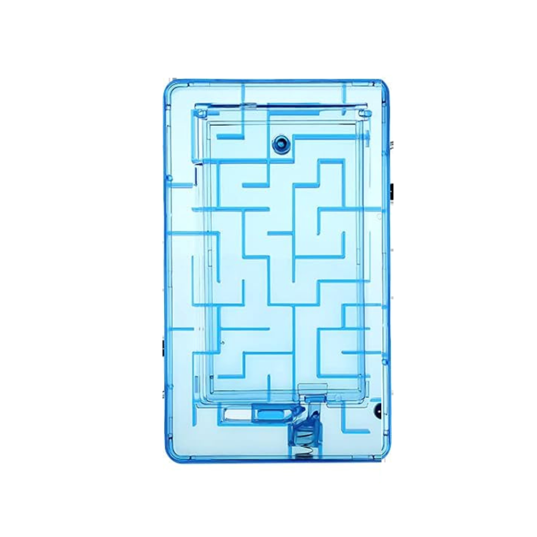 Money & Gift Card Maze Puzzle