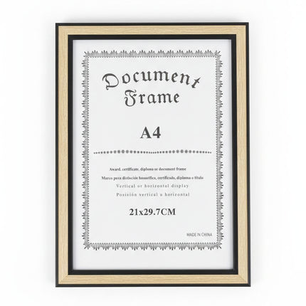 Document Frame A4