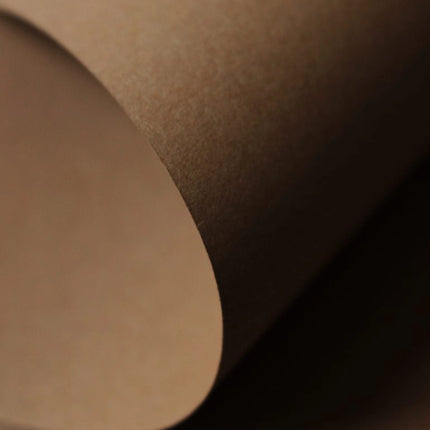 Mite Carton Sheets 100x70 cm-220gsm